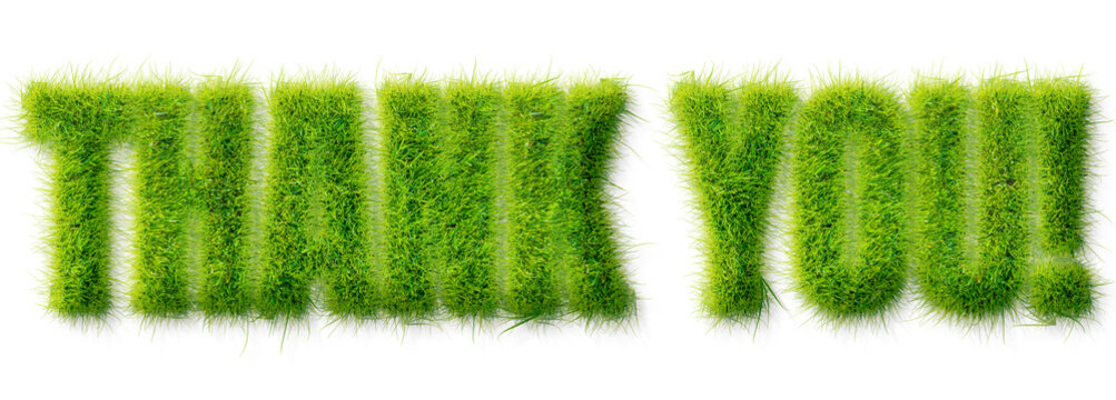 Thank You text rendered in a realistic lush green grass texture isolated on transparent background