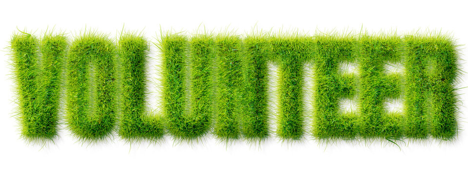 Volunteer word rendered in realistic green grass texture isolated on a transparent background