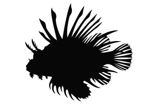 Lionfish Silhouette Isolated on White Background with Copy Space for Design