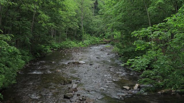stream in the forest Kimobetsu