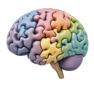 A colorful puzzle brain model isolated on a white background representing cognitive health and creative thinking transparent background
