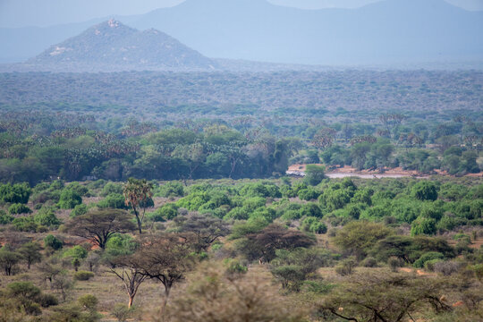 samburu reserve landscape