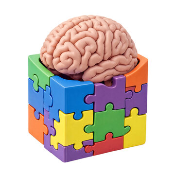 Human brain anatomy sitting inside a colorful cube made of jigsaw puzzle pieces transparent background
