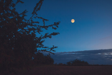 Full Moon, stars and planets above landscape silhouettes in blue hour time. © astrosystem