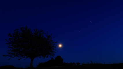 Moon on a twilight sky with stars, planets and landscape mountain silhouettes. © astrosystem