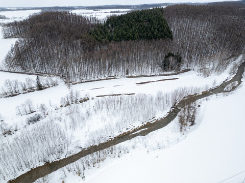 Hokkaido in inverno, animali selvatici e territori poetici d'inverno ricoperti di neve