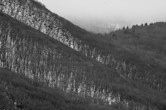 Hokkaido, paesaggio invernale giapponese con neve e silenzio