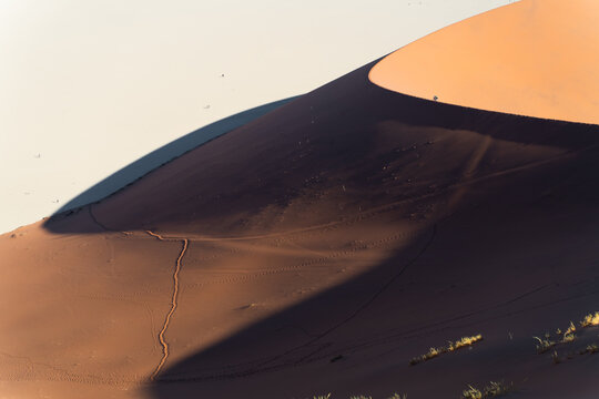 Viaggio nel deserto della Namibia, dune animali selvatici, deserto e panorami