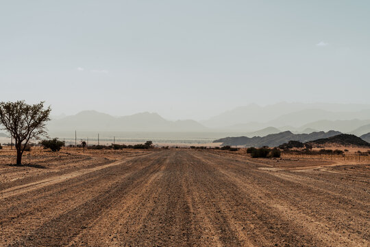 Viaggio nel deserto della Namibia, dune animali selvatici, deserto e panorami