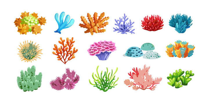 Colorful underwater coral reef icons set isolated on white