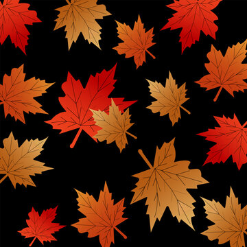 Autumn Maple Leaf Pattern with Colorful Fall Foliage on Black Background Vector for Thanksgiving Design. Resizable and editable, EPS 10.