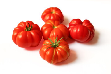 Costoluto Genovese, a variety of Italian heirloom tomatoes known for its striking fluted shape and rich, tangy flavor. © Tantri