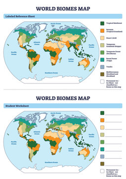 World biomes map overview showing color-coded ecosystems across continents, with world map, biome legend, and labeled oceans for study reference. Outline diagram
