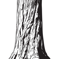 Fototapeta premium Closeup Tree Trunk Bark Showing Deep Natural Texture Details