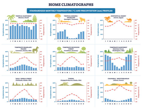 Biome climatographs overview comparing monthly temperature and precipitation across nine biomes, bar charts, line graphs, and biome icons explain climate patterns. Outline diagram