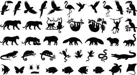 Obraz premium Collection of tropical rainforest animal silhouettes including birds, monkeys, reptiles, and fish on white background