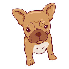 Fototapeta premium French bulldog sitting cartoon character