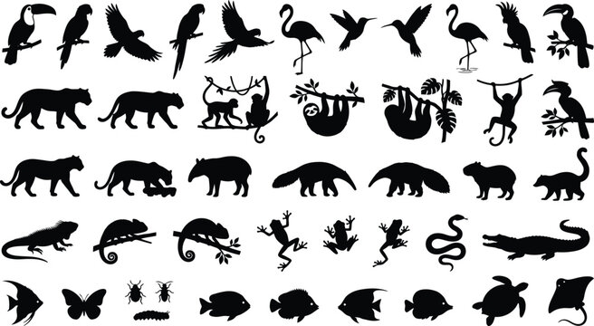 Collection of tropical rainforest animal silhouettes including birds, monkeys, reptiles, and fish on white background