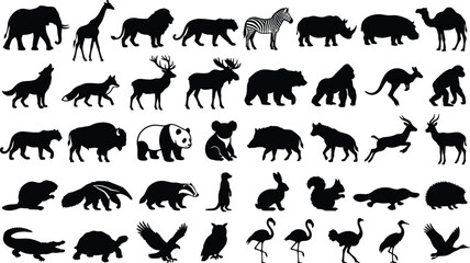 Fototapeta premium Collection of various wild animal silhouettes including elephant, giraffe, lion, zebra, rhino, wolf, bear, and panda on white background