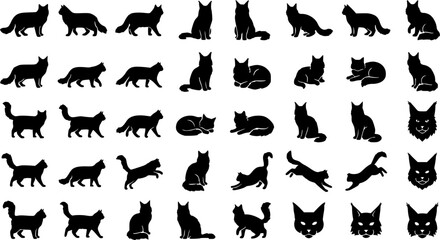Fototapeta premium Persian Cat Breed Icon Set – Silhouette Style. Covers longhair cat, fluffy cat breed, flat-face cat & more. Solid black glyph, transparent background.