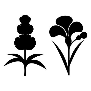 Decorative Flower Silhouette Collection, Elegant Botanical Black Vector Illustration
