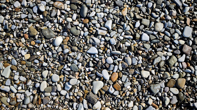 A close-up view of a variety of smooth pebbles and stones in different colors and sizes. The surface is covered with a mix of gray, brown, and white stones.