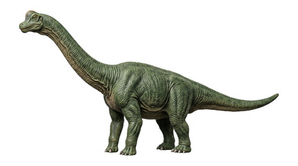 Green brachiosaurus dinosaur model standing on transparent background for prehistoric education designs. © Png ProTeam