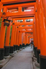 Fotobehang Rood 伏見稲荷大社、たくさんの鳥居が建ち並ぶ！京都を代表する大人気観光地、京都、日本  © shun