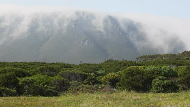 fog wrapping and descending down mountainside, Gansbaai, South Africa