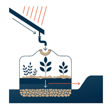 Rainwater harvesting planter system directs roof runoff into soil and growing plants.