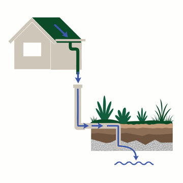 Rainwater harvesting system diagram displays drainage and filtration.