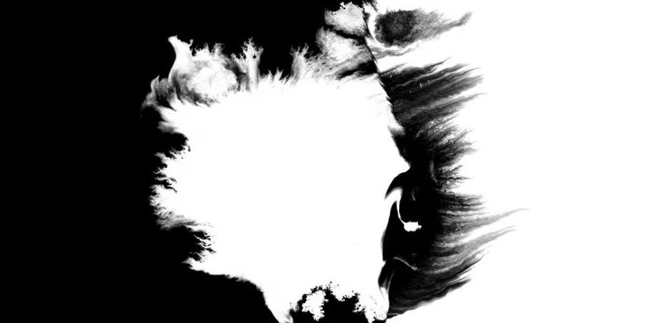 Swirling smoke or ink fluid transition effect. Steam, dust explosion. Black on white background