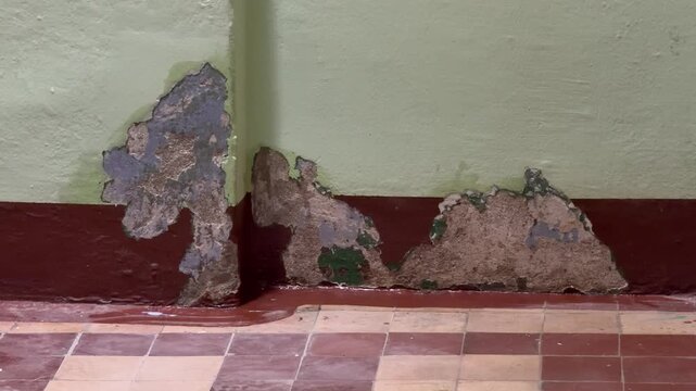 Damaged interior wall with severe peeling paint and exposed plaster above a red border near tiled floor due to moisture.