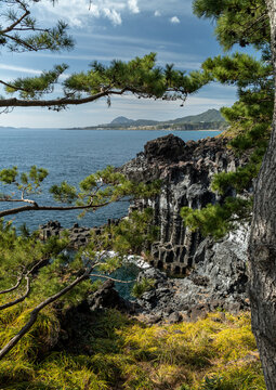 Jusangjeolli Cliffs Through Pines