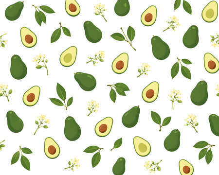 Avocado Illustration Pattern