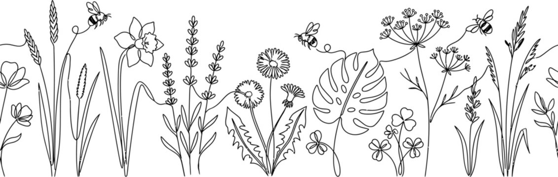 Wildflowers and insects line dra