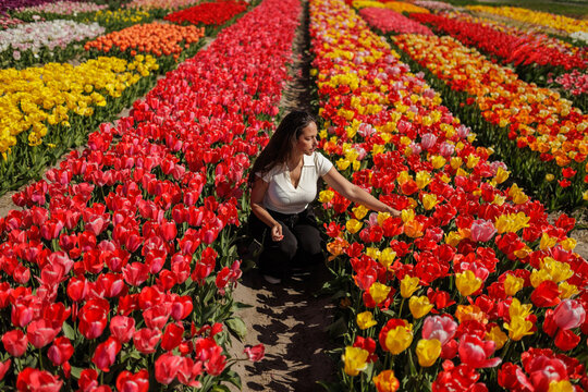 Woman enjoying spring in a colorful tulip field