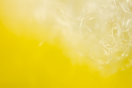 Extreme macro of polyester stable fiber on yellow background. Selective focus, shallow depth of field. Abstract dreamy background