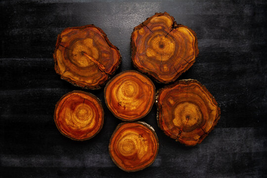 Wood log tree slices on black chalkboard. Flat lay. Top view