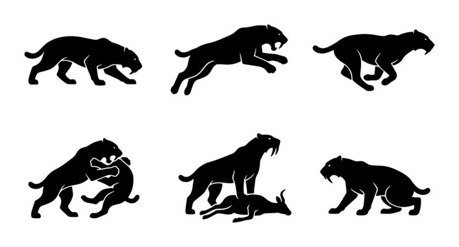 Saber-Toothed Cat Silhouettes, Prehistoric Predator Actions, Ancient Wildlife Vector Set