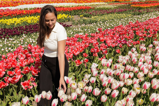 Woman touching flowers and enjoying scent in a tulip field