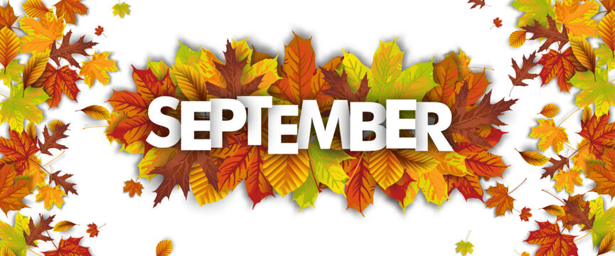 Autumn Foliage Centre September Transparent