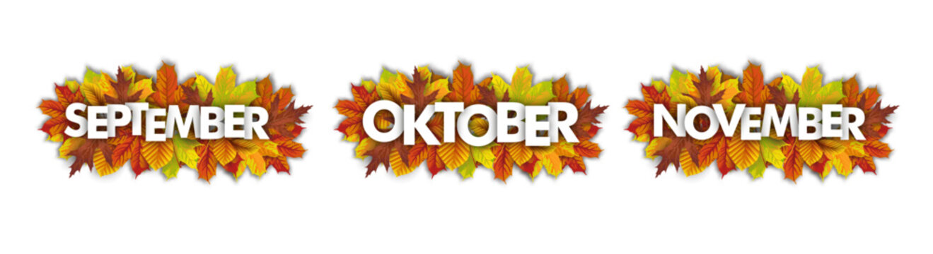 September Oktober November  Herbstlaub Transparent
