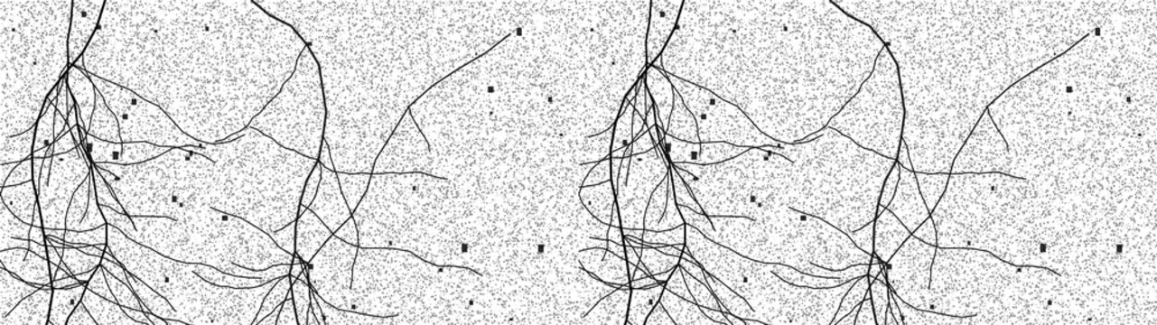 Black thin roots abstract pattern on white and transparent background for scientific or ecological designs.