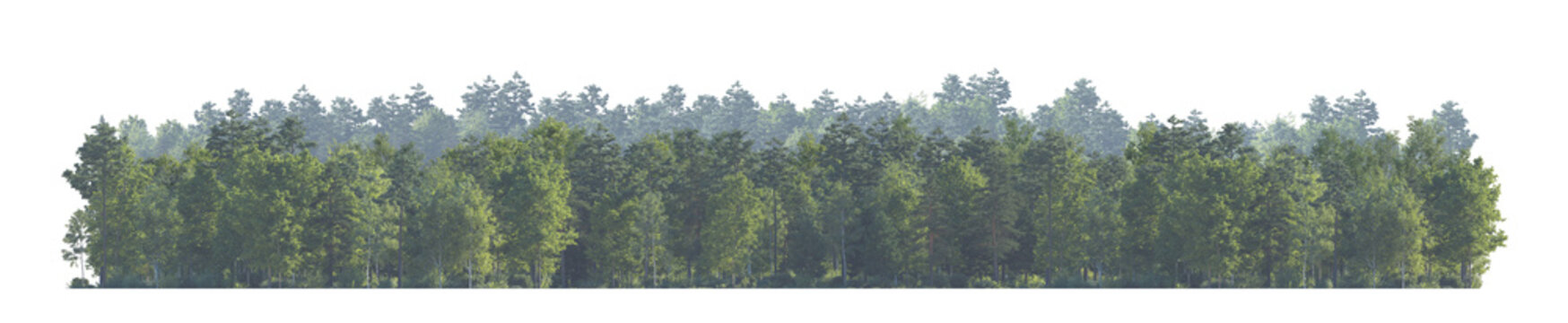 forest with two levels of aerial perspective (woodland, forest scene) isolated PNG on a transparent background premium nature cutout