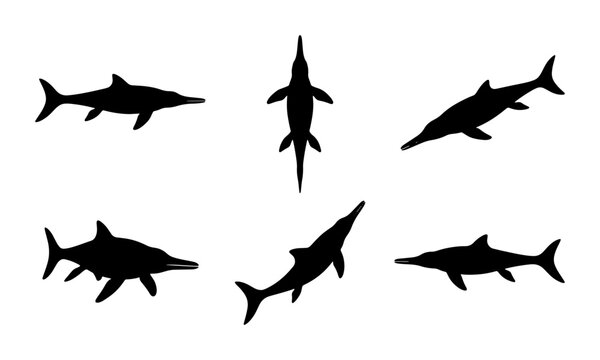 Ichthyosaur Silhouettes, Prehistoric Marine Reptile Vector Set, Ancient Sea Creature Poses