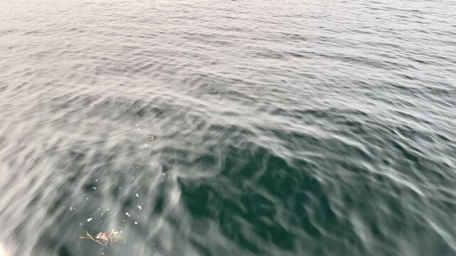 low motion tilt from St. Lawrence water to Saguenay Fjord landscape