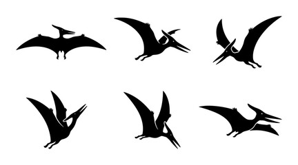 Pterodactyl Silhouettes, Flying Dinosaur Vector Icons, Prehistoric Creature Graphics, Ancient Reptile Set © Apurbo