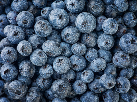 Close-up of wet ripe blueberries filling the frame