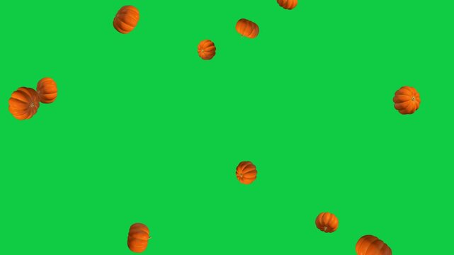 autumn 3d pumpkins falling isolated green screen 4k animation,chroma key pumpkin thanksgiving and Halloween celebration video stream overlay social media motion design element